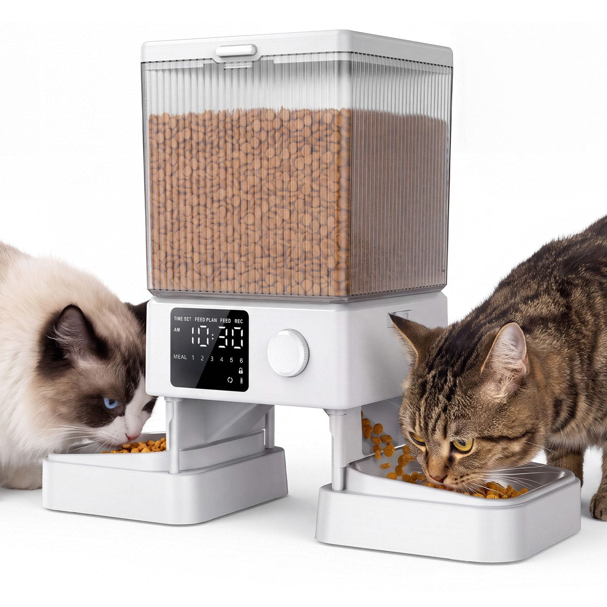 oneisall Automatic Cat Feeder CW15005