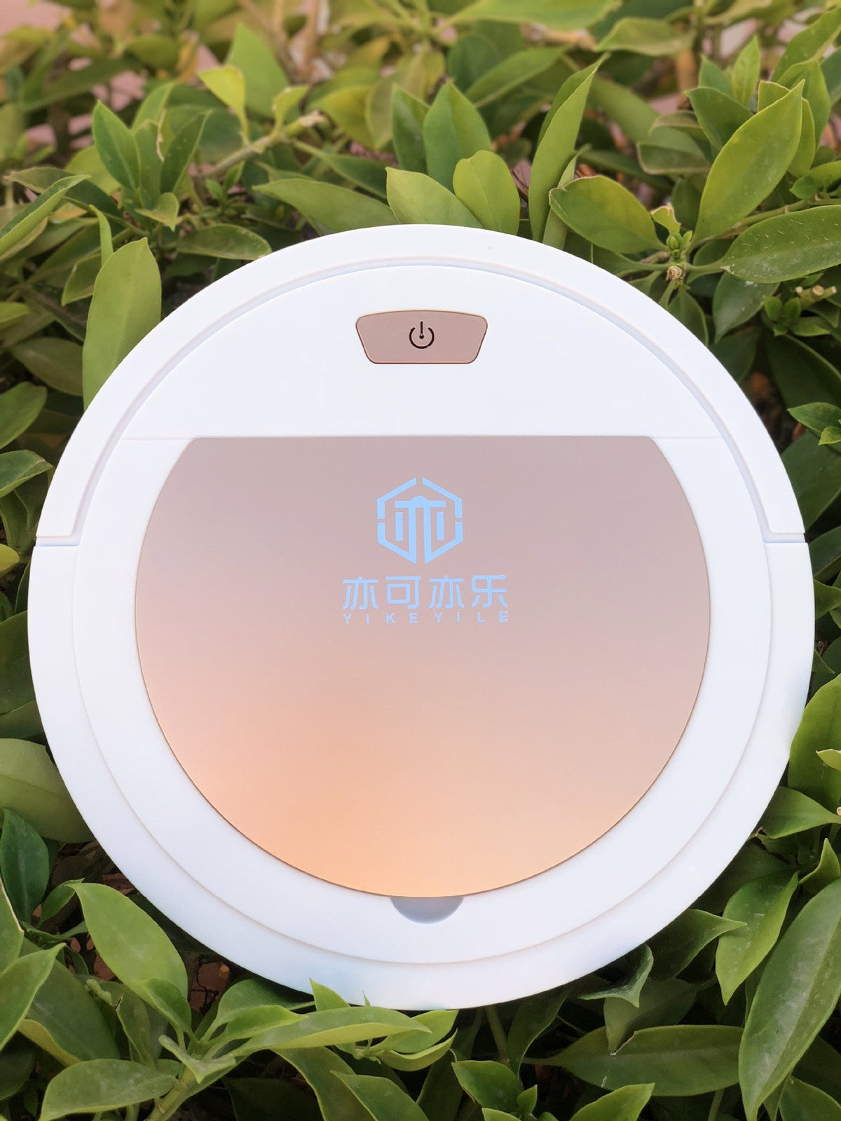 Robot Vacuum & Mop Cleaner