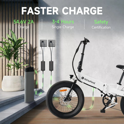 DUTRIEUX U5 500W 20-Inch Folding E-Bike | GYZMOGENIX