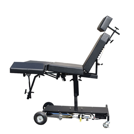 Chariot Tattoo chair/ armrest combo