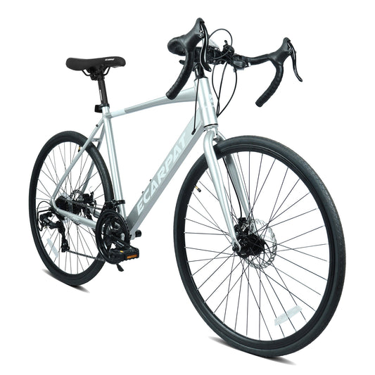 700C Silver Road Bicycle – 16-Speed, Dual Disc Brakes