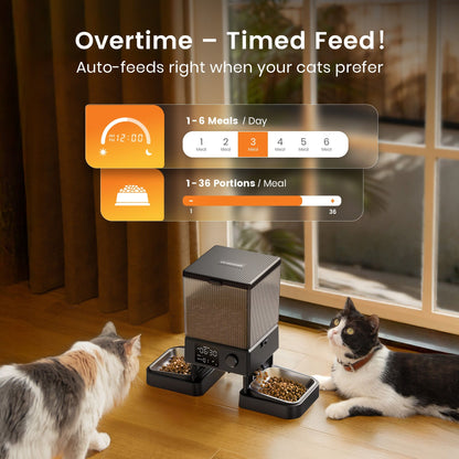 oneisall Automatic Cat Feeder CW15005