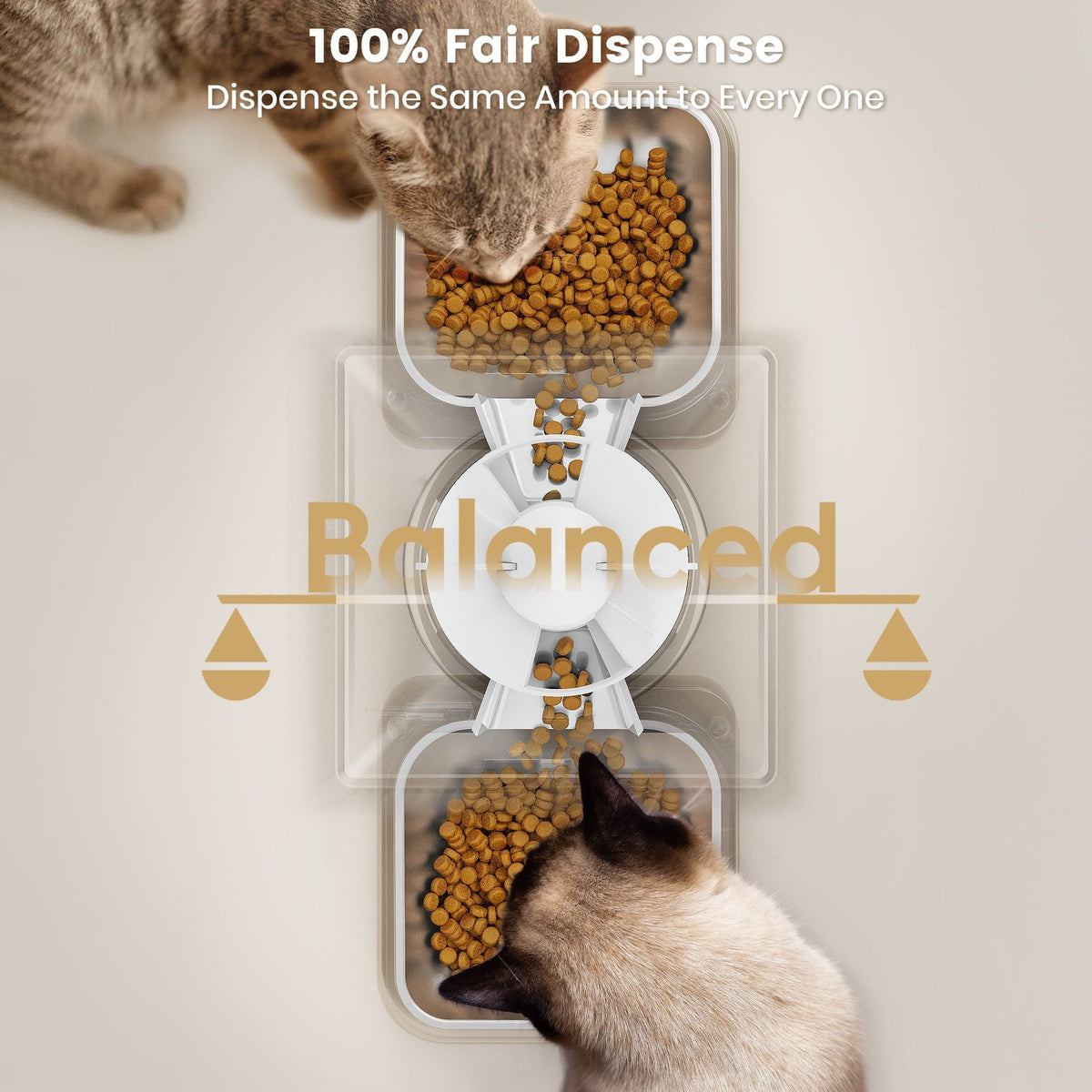 oneisall Automatic Cat Feeder 5L for 2 Pets PF02WAU