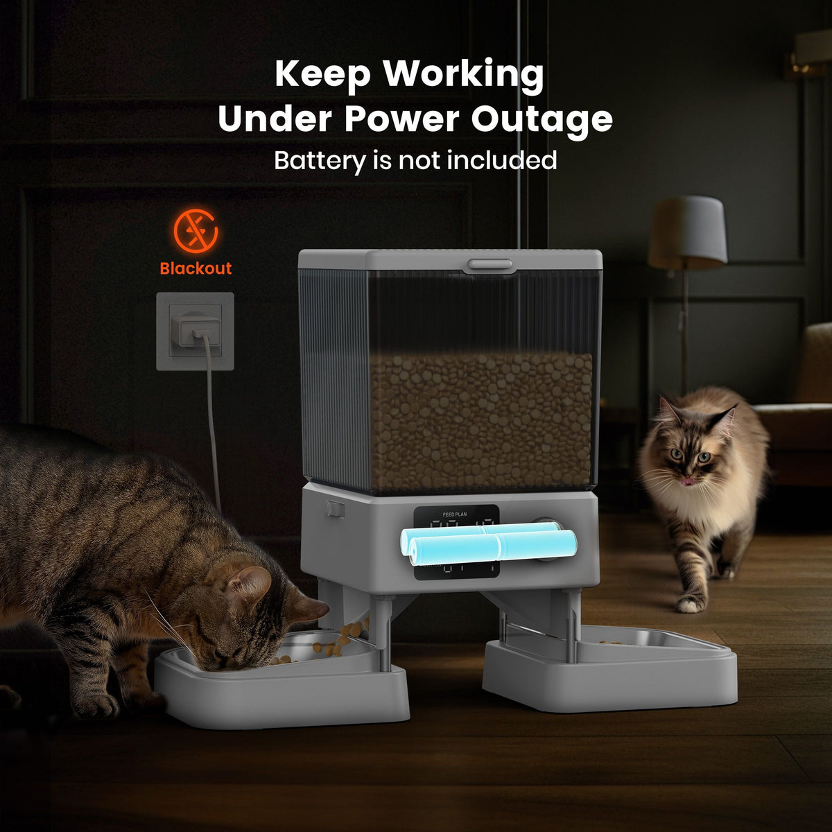 oneisall Automatic Cat Feeder 5L for 2 Pets PF02WAU