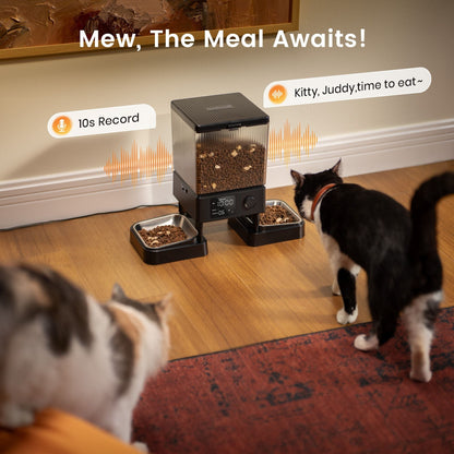oneisall Automatic Cat Feeder CW15005